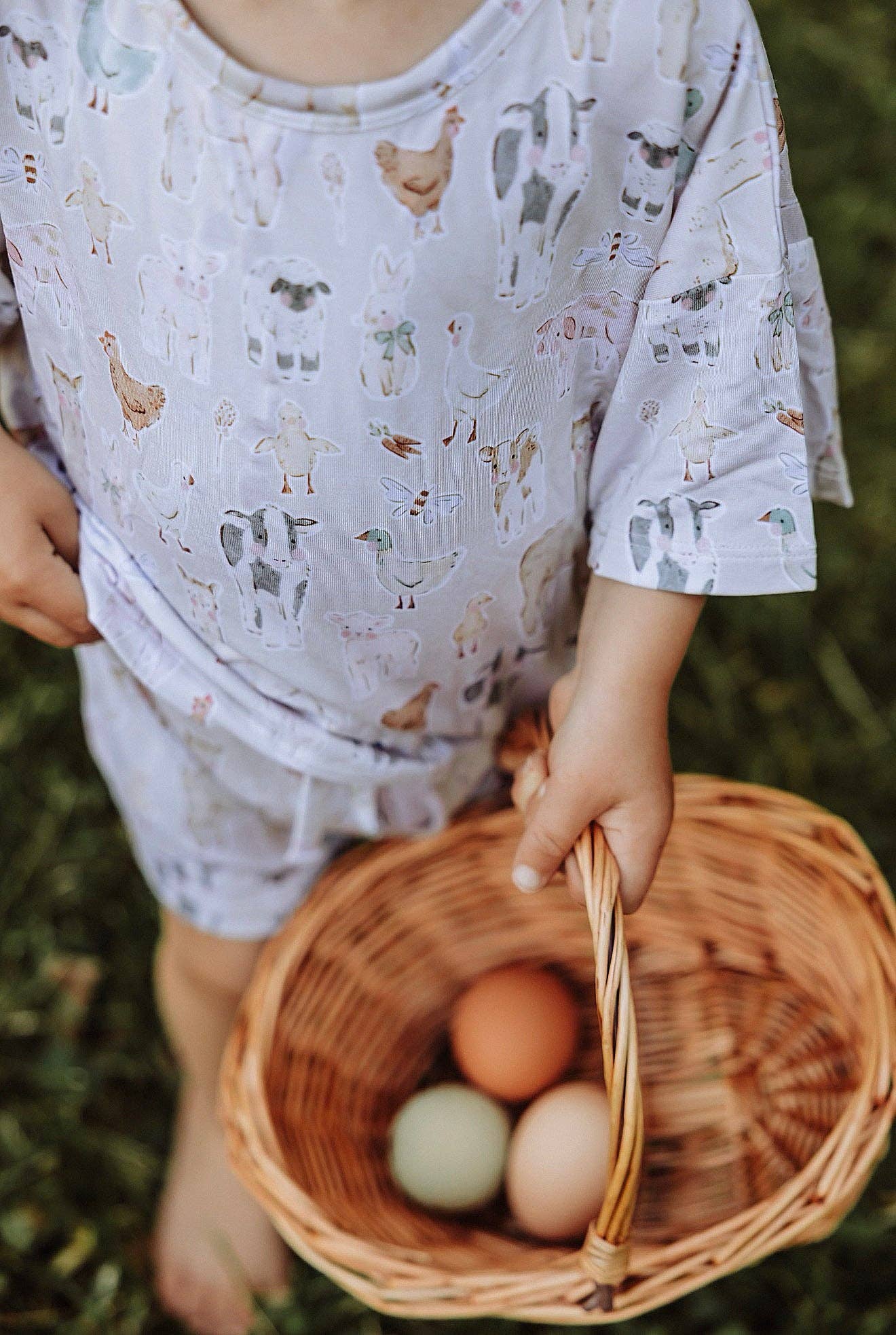 Farmyard Fables Oversized Summer Set